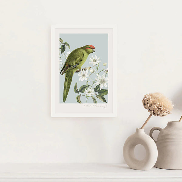 Birds & Botanics Kakariki A3 Print Art Print 100% NZ Framed White