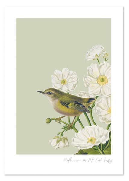 Birds & Botanics Rifleman A3 Print Art Print 100% NZ Unframed
