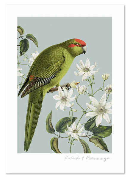 Birds & Botanics Kakariki A3 Print Art Print 100% NZ Unframed