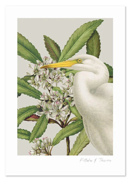 Birds & Botanics Heron A3 Print Art Print 100% NZ Unframed