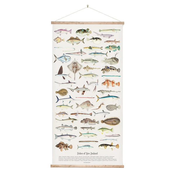 Fishes of New Zealand - Wall Chart Art Print 100% NZ