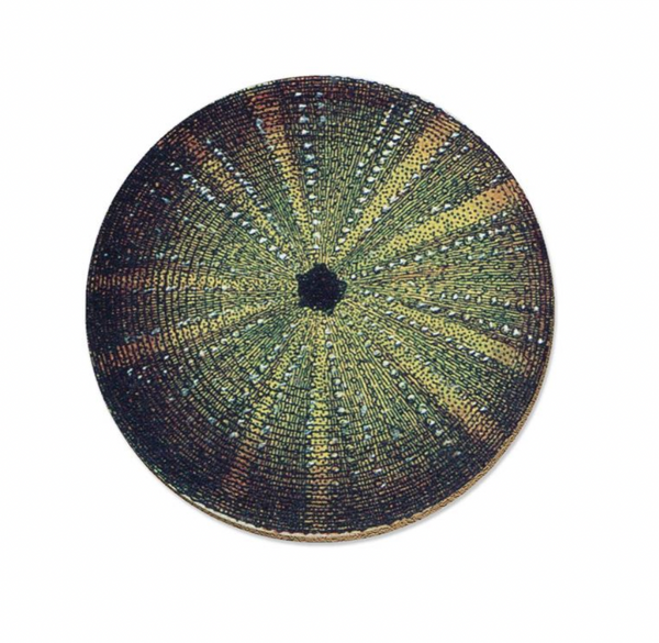Single Coasters - Designs By Tanya Wolfkamp Coasters Wolfkamp & Stone Kina