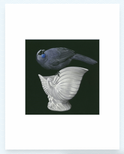 Kokako On Crown Lynn - Jane Crisp - Art Print + Matting Art Print Jane Crisp