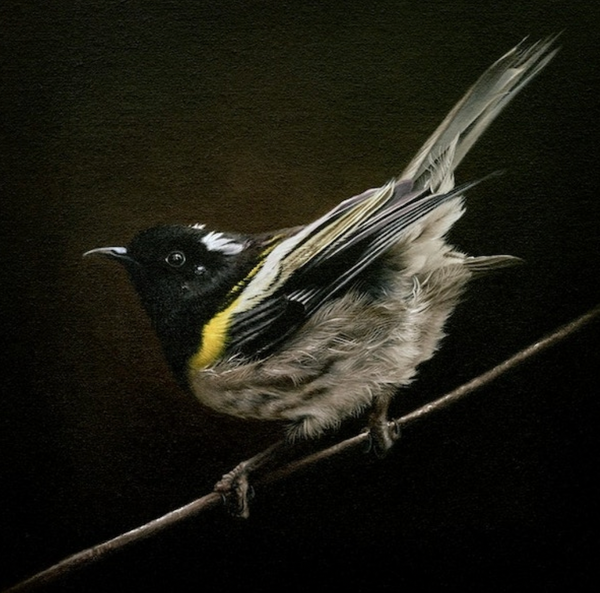 Little Ray Of Sunshine - Jane Crisp - Art Print + Matting Art Print Jane Crisp