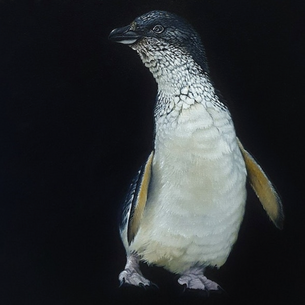 Little Korora - Jane Crisp - Art Print + Matting Art Print Jane Crisp