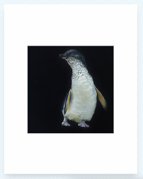 Little Korora - Jane Crisp - Art Print + Matting Art Print Jane Crisp