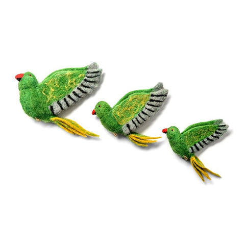 Flying Parakeet Wall Trio