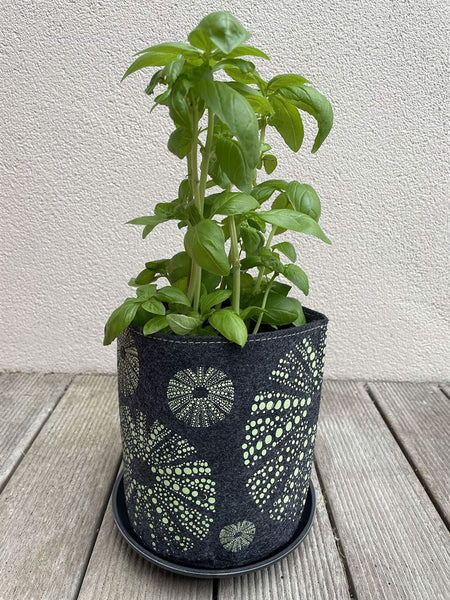 Kina Green On Grey Ecofelt Grow Bag