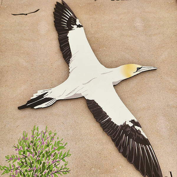 Gannet / Takapu   Bird Wall Set