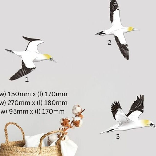 Gannet / Takapu   Bird Wall Set