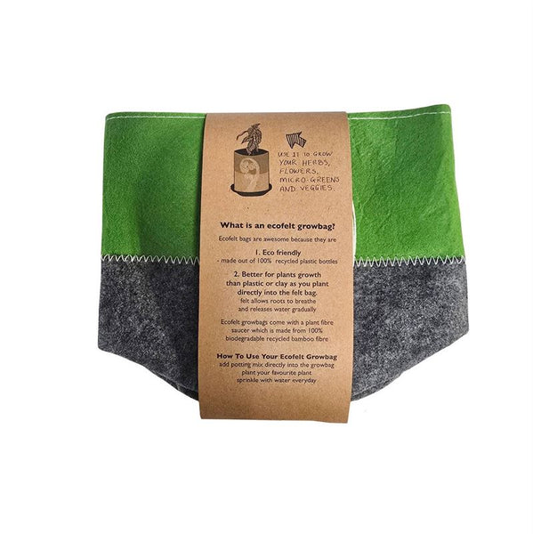 Ponga Frond on Green Ecofelt Grow Bag