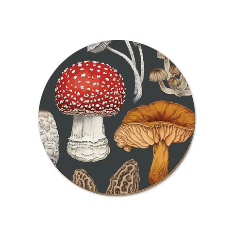 Coasters - NZ Fungi Morchella