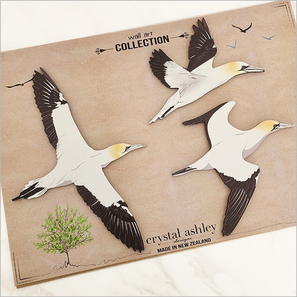 Gannet / Takapu   Bird Wall Set
