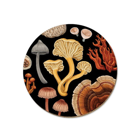 Coasters - NZ Fungi Bolete