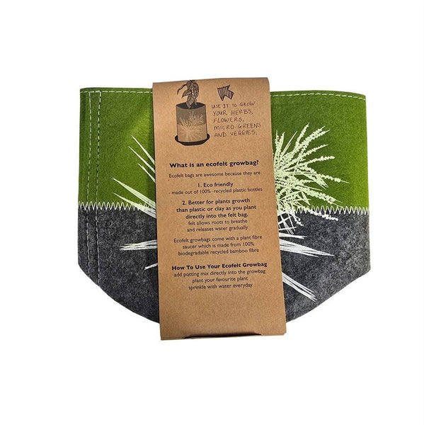 Ti Kouka on Green Ecofelt Grow Bag
