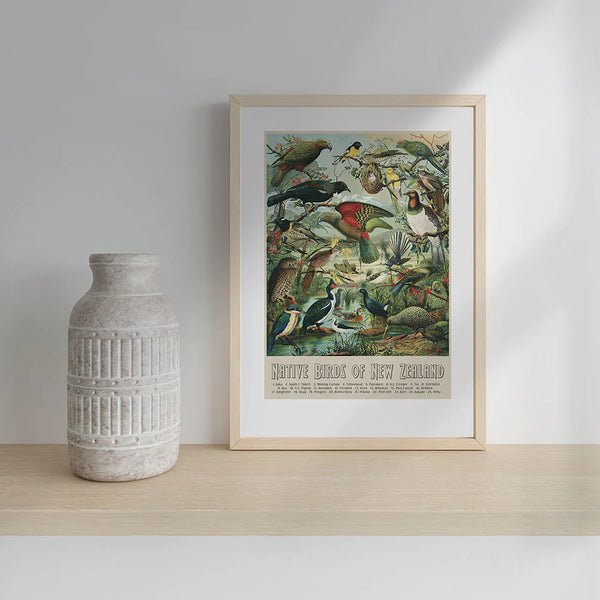 NZ Native Birds A3 Print