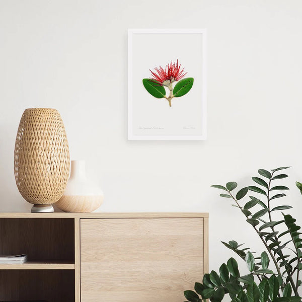 Floral Pohutukawa A3 Print Art Print 100% NZ Framed White