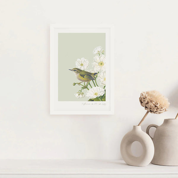 Birds & Botanics Rifleman A3 Print