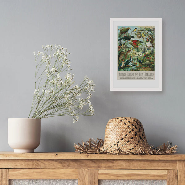NZ Native Birds A3 Print