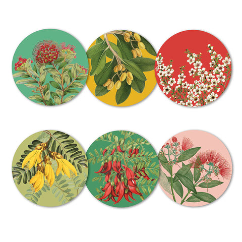 Native Botanicals of NZ Box of 6 Coasters Coaster 100% NZ