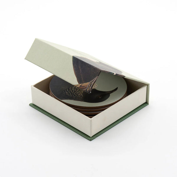 Hushed Birds Box of 6 Coasters Coaster 100% NZ