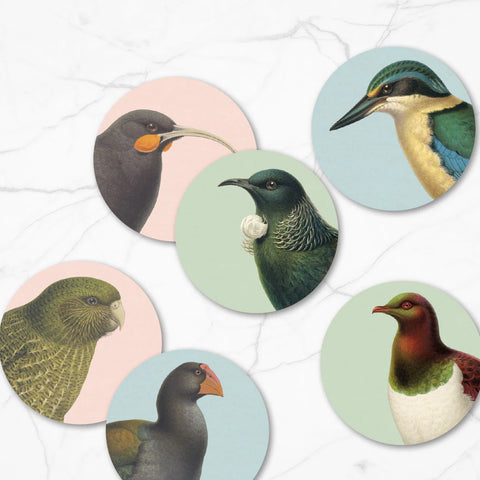Hushed Birds Box of 6 Coasters Coaster 100% NZ