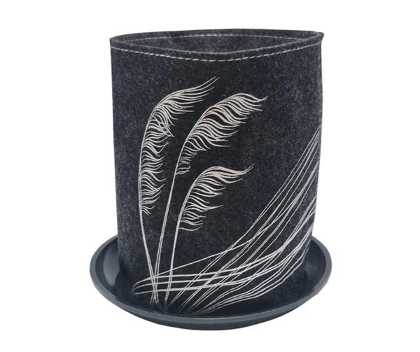 Coastal ToeToe on Dark Grey Ecofelt Grow Bag
