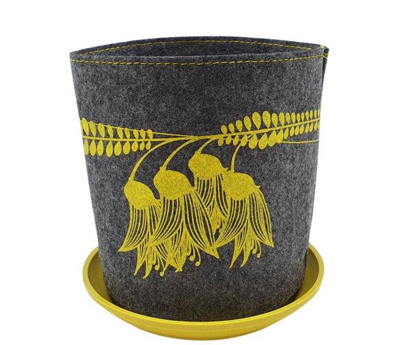 Yellow Kowhai Grey Ecofelt Grow Bag