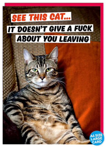 Card - See This Cat - It Doesn't Give a Fuck About You Leaving (LARGE CARD)