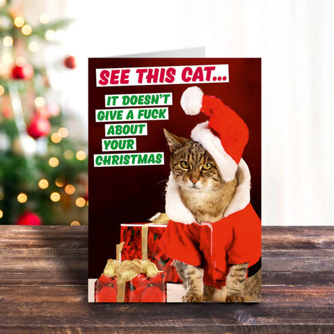 Card - See This Cat. It Doesn't Give A Fuck About Your Christmas Greeting Card Dean Morris