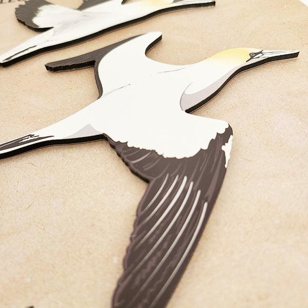 Gannet / Takapu   Bird Wall Set