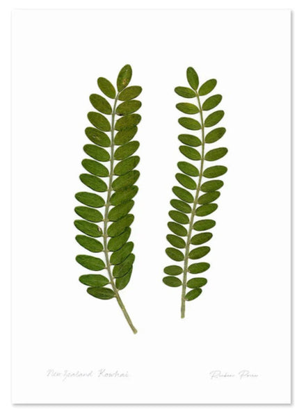 Flora Kowhai Leaves A3 Print Art Print 100% NZ Unframed