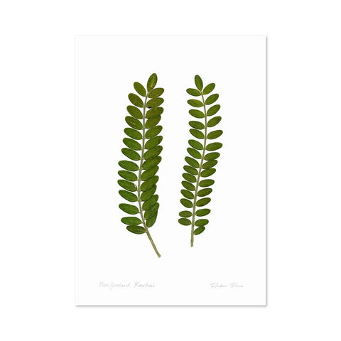 Flora Kowhai Leaves A3 Print Art Print 100% NZ Unframed