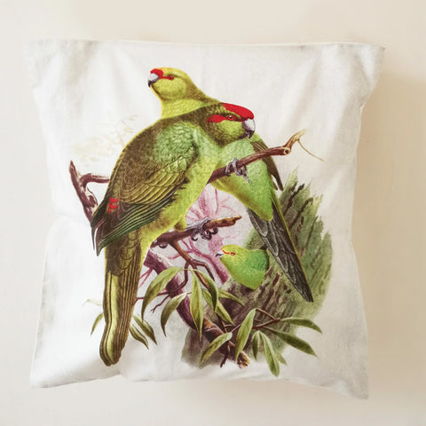 Parakeet Cushion Cover