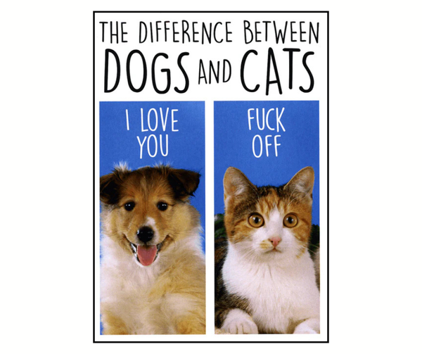 Card - Difference Between Dogs and Cats Greeting Card Dean Morris