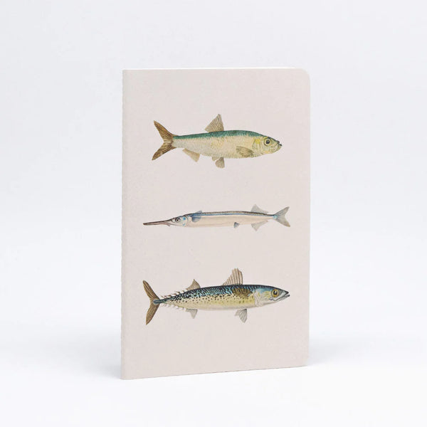 Fishes of New Zealand A5 Notebook