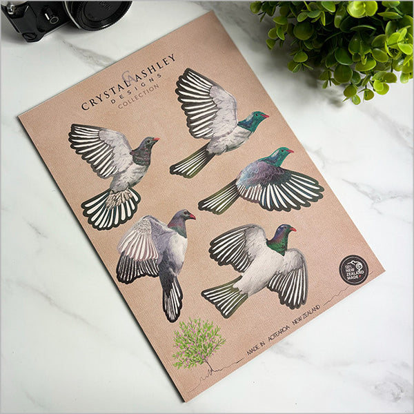 Pop Out Collection - Kereru