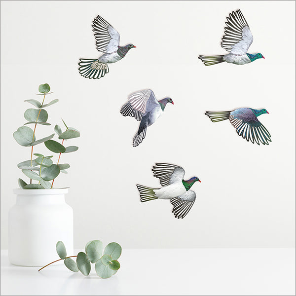 Pop Out Collection - Kereru