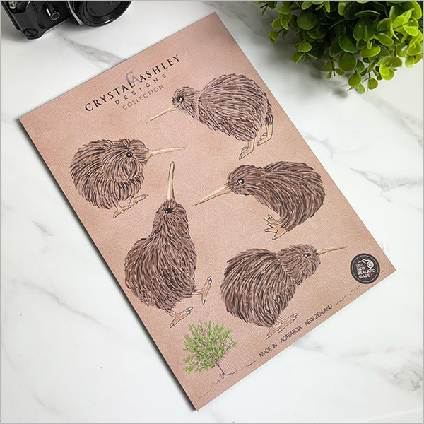 Pop Out Collection - Kiwi Set