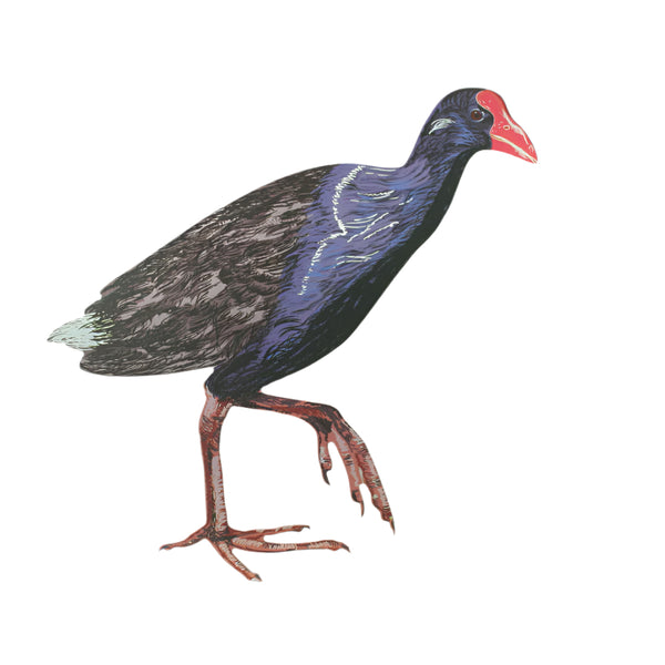 Pukeko - ACM Art Wall Art Crystal Ashley Right Facing