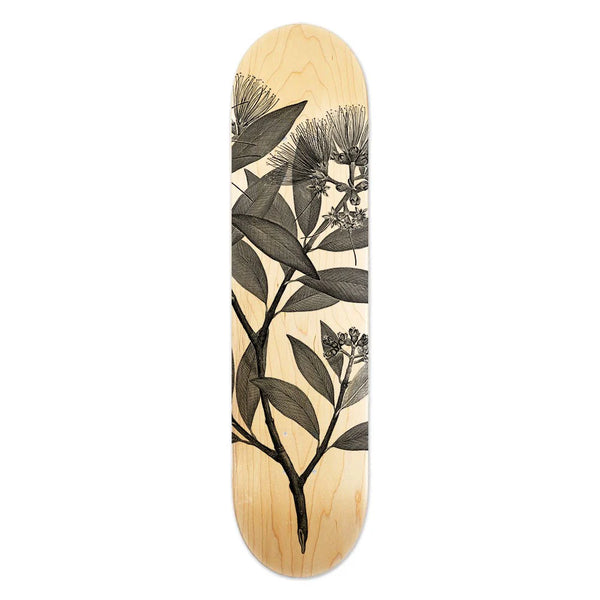 Pohutukawa - Skate Deck