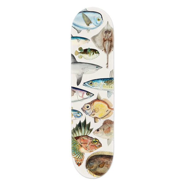 Fishes of New Zealand - Skate Deck