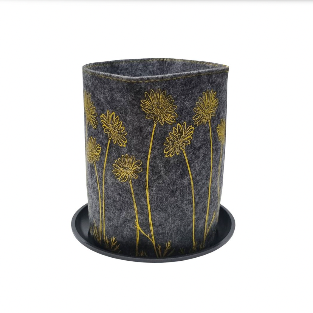 Marguerite Daisy Grey Grow Bag