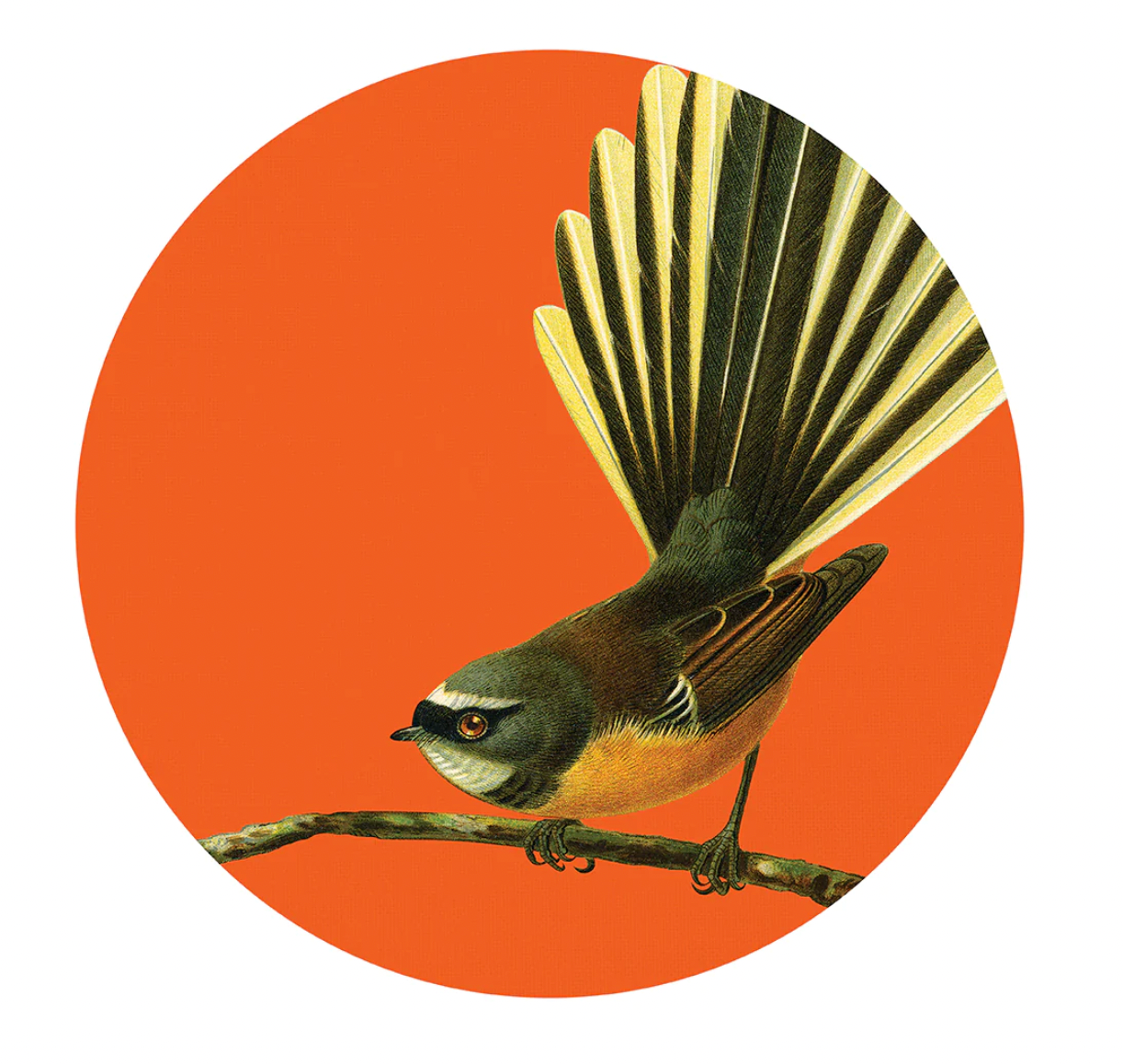 Bright Fantail Art Spots (Decal)