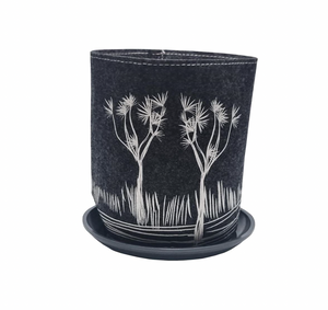 Coastal Cabbage Trees On Dark Grey Grow Bag