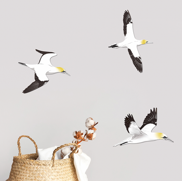 Gannet / Takapu Bird Wall Set Wall Art Crystal Ashley