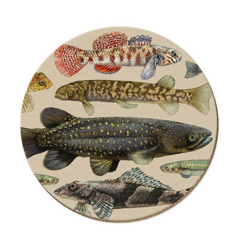 Coasters - NZ Freshwater Fish Coasters Wolfkamp & Stone
