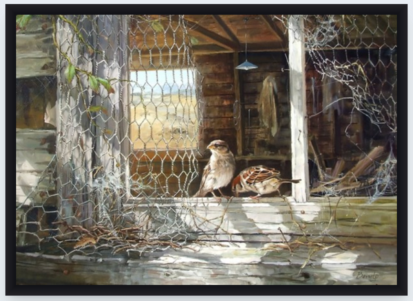 Home To Roost by Ben Ho - Boxed Frame Notecard