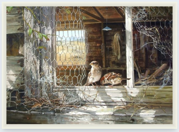 Home To Roost by Ben Ho - Boxed Frame Notecard