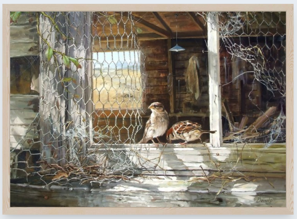 Home To Roost by Ben Ho - Boxed Frame Notecard
